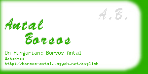 antal borsos business card